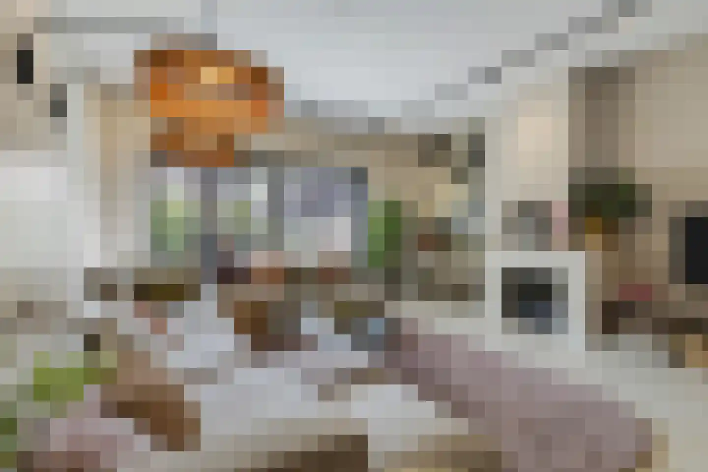 Willy den Oudenstraat 23 Rotterdam thumbnail 12