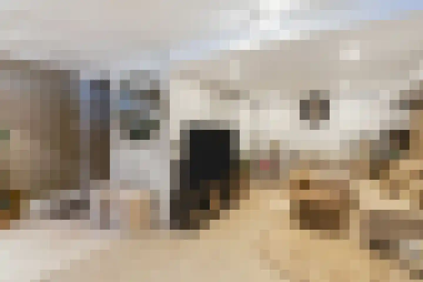 Willy den Oudenstraat 23 Rotterdam thumbnail 20