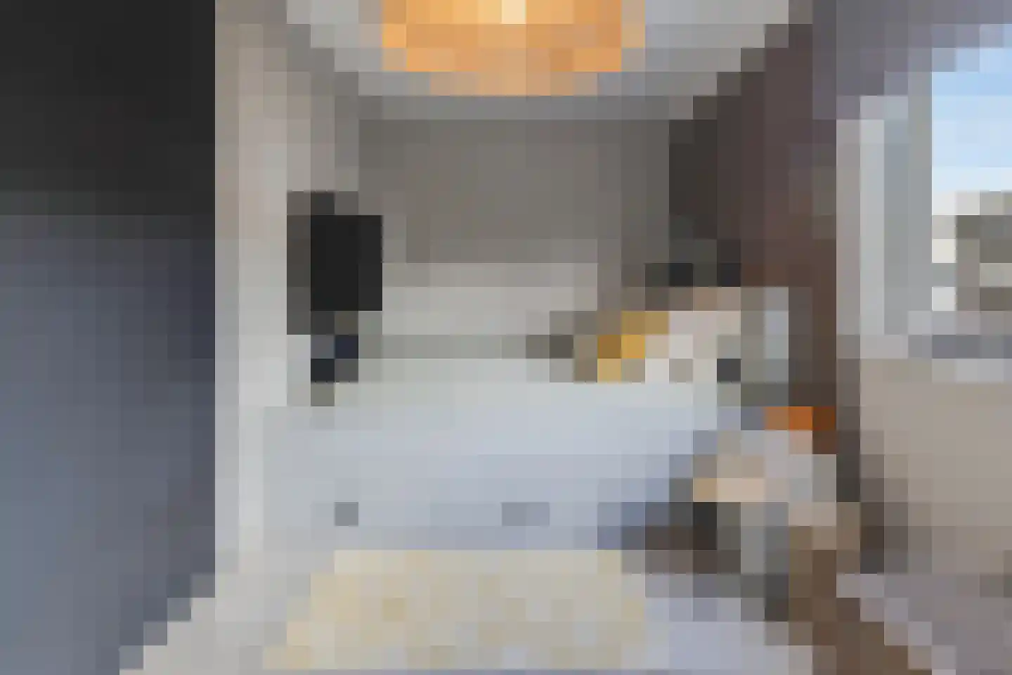 Willy den Oudenstraat 23 Rotterdam thumbnail 24