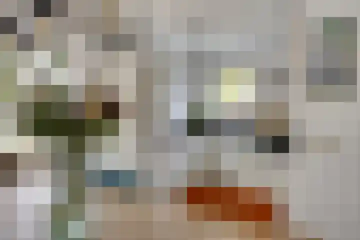 Willy den Oudenstraat 3 Arnhem thumbnail 11