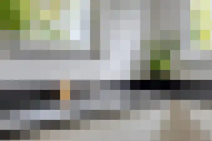 Willy den Oudenstraat 3 Arnhem thumbnail 13