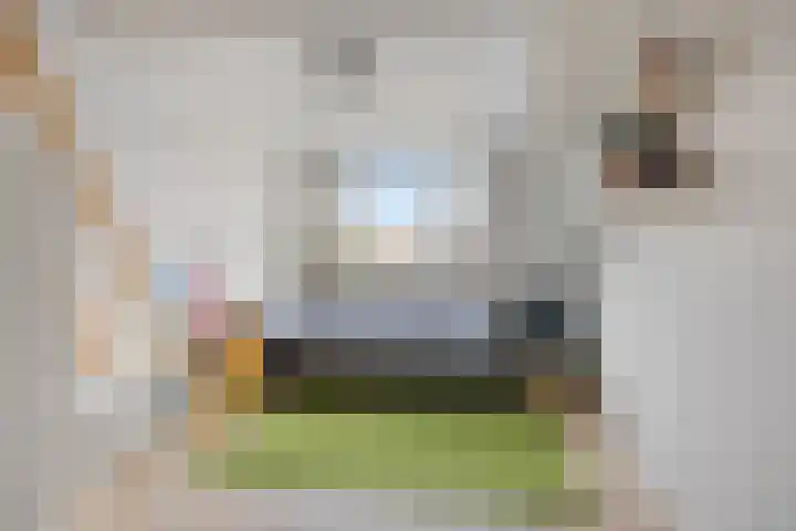Willy den Oudenstraat 3 Arnhem thumbnail 42