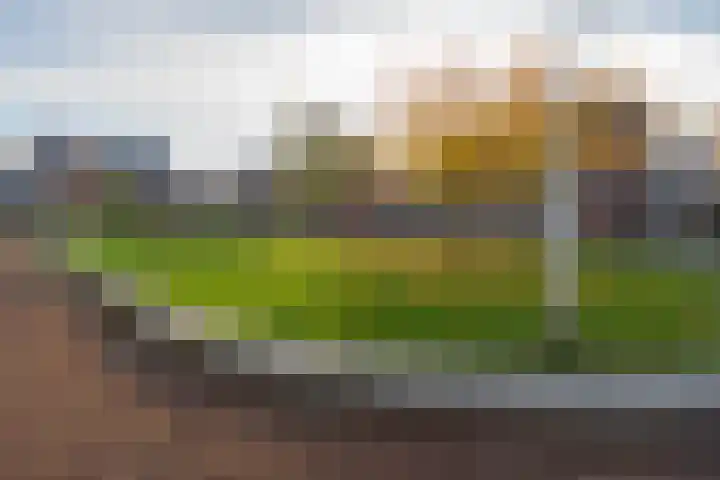 Willy den Oudenstraat 34 Tilburg thumbnail 15