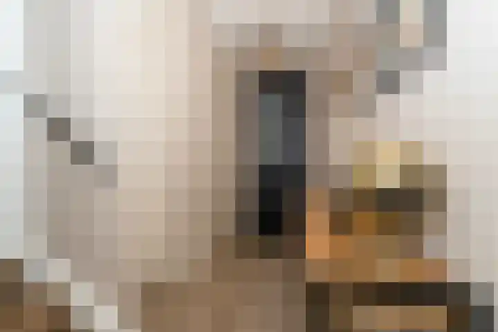 Willy den Oudenstraat 34 Tilburg thumbnail 16