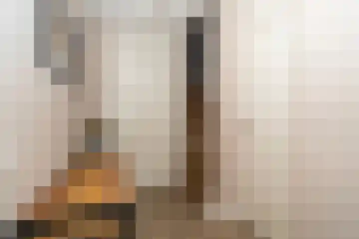 Willy den Oudenstraat 34 Tilburg thumbnail 18