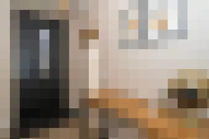 Willy den Oudenstraat 34 Tilburg thumbnail 19