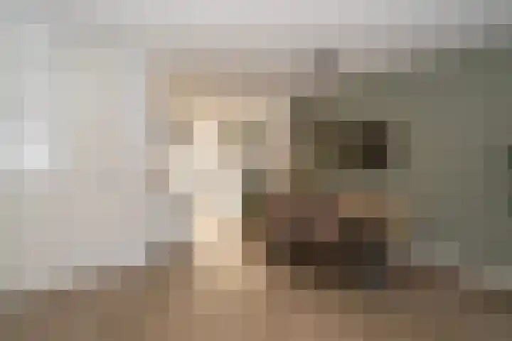 Willy den Oudenstraat 34 Tilburg thumbnail 29