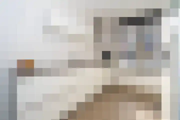 Willy den Oudenstraat 34 Tilburg thumbnail 32