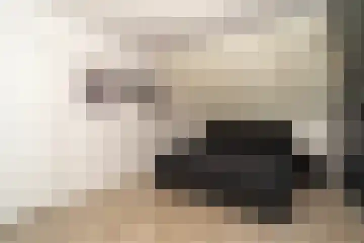 Willy den Oudenstraat 34 Tilburg thumbnail 5