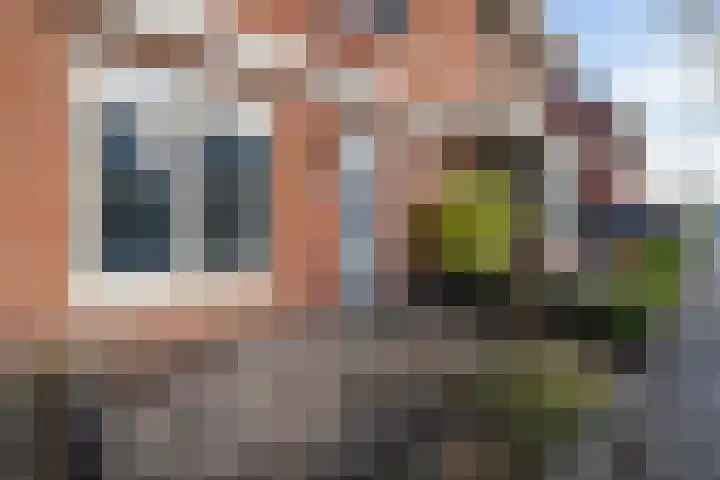 Willy den Oudenstraat 34 Tilburg thumbnail 7