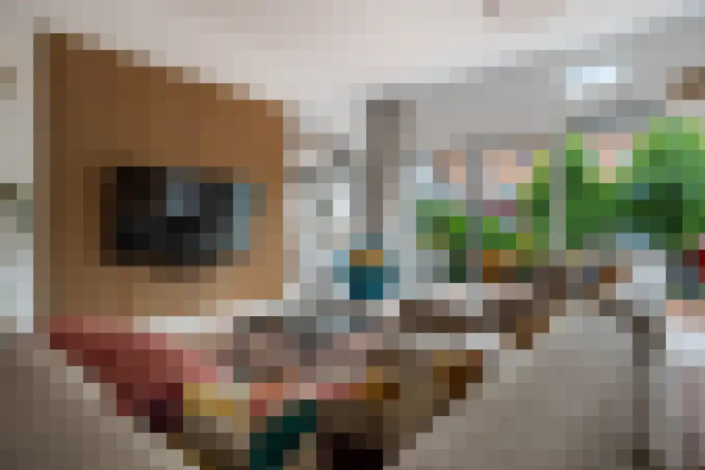 Willy den Oudenstraat 35 Rotterdam thumbnail 14