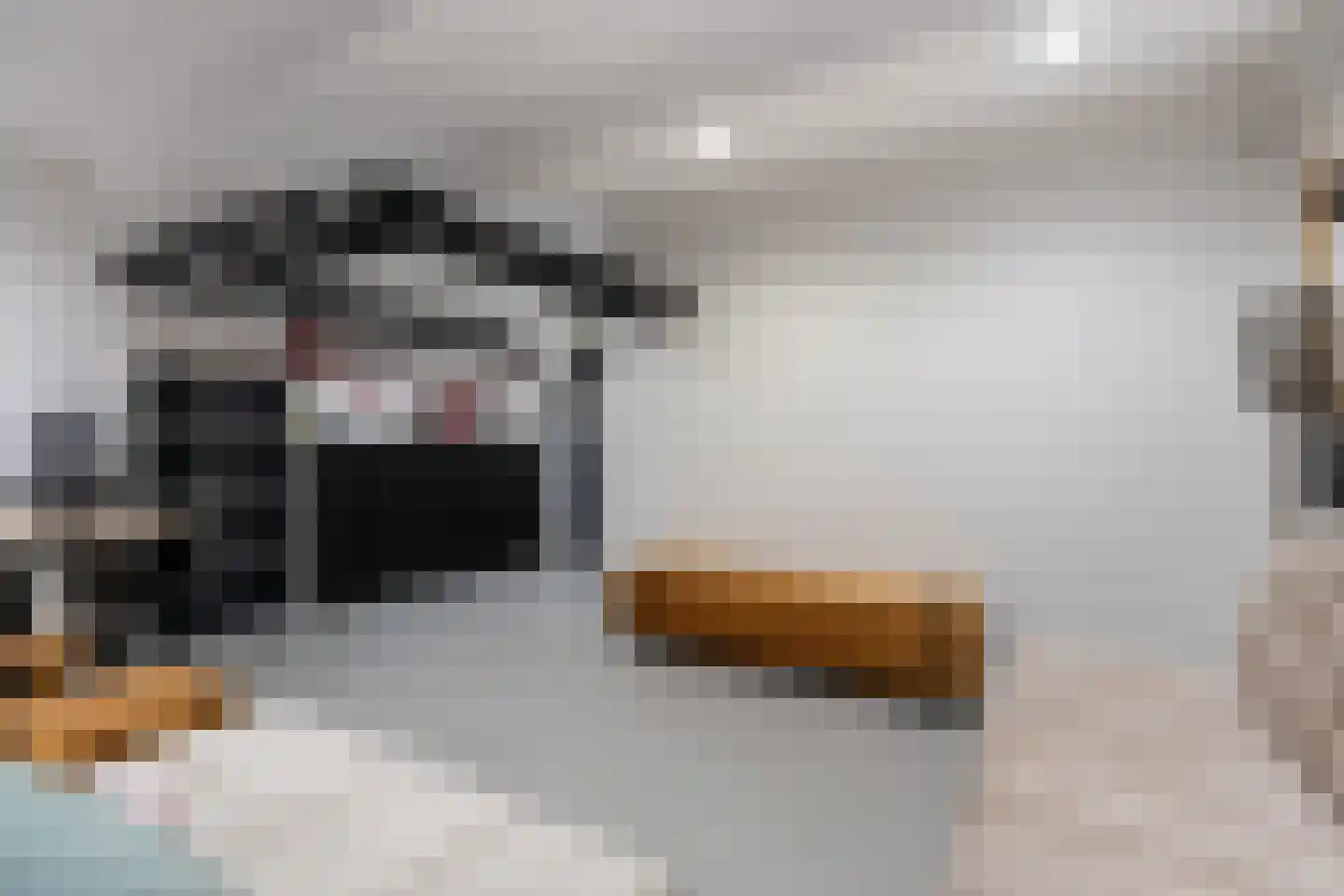 Willy den Oudenstraat 35 Rotterdam thumbnail 55