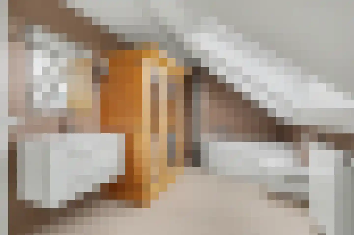Willy den Oudenstraat 40 Arnhem thumbnail 39