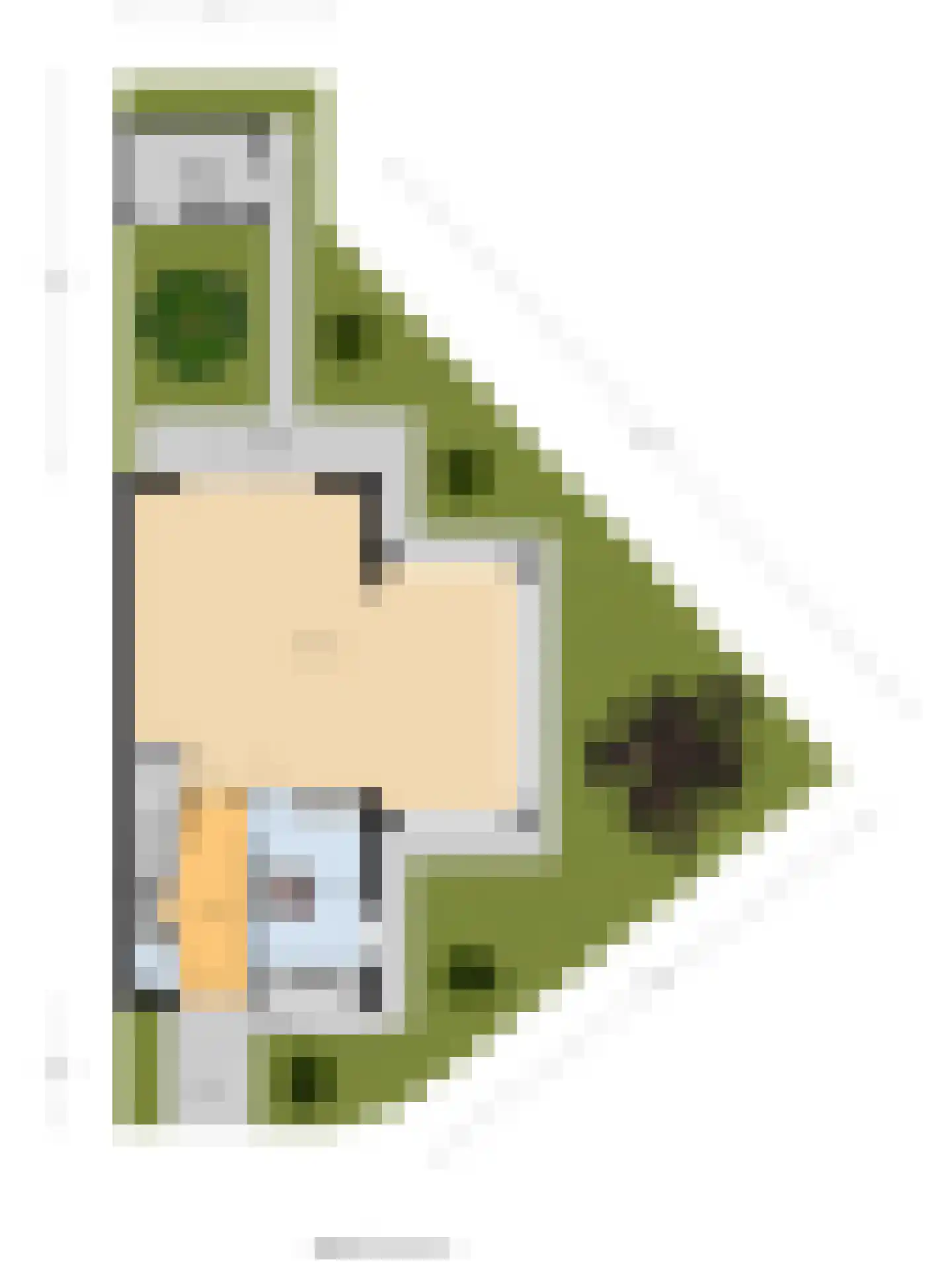 Willy den Oudenstraat 40 Arnhem thumbnail 65