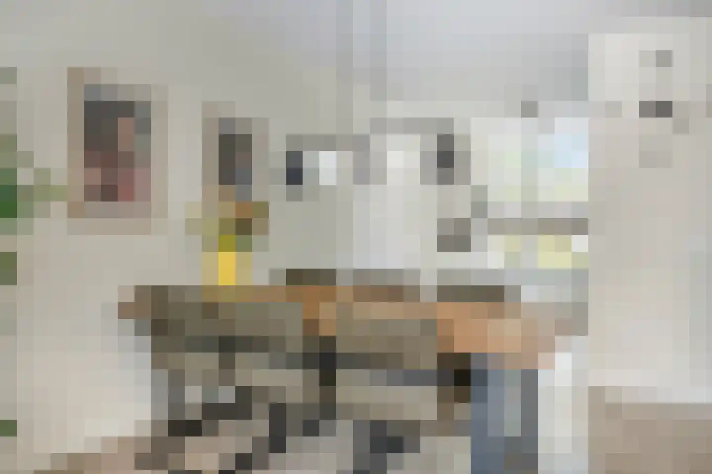 Willy den Oudenstraat 89 Tilburg thumbnail 13