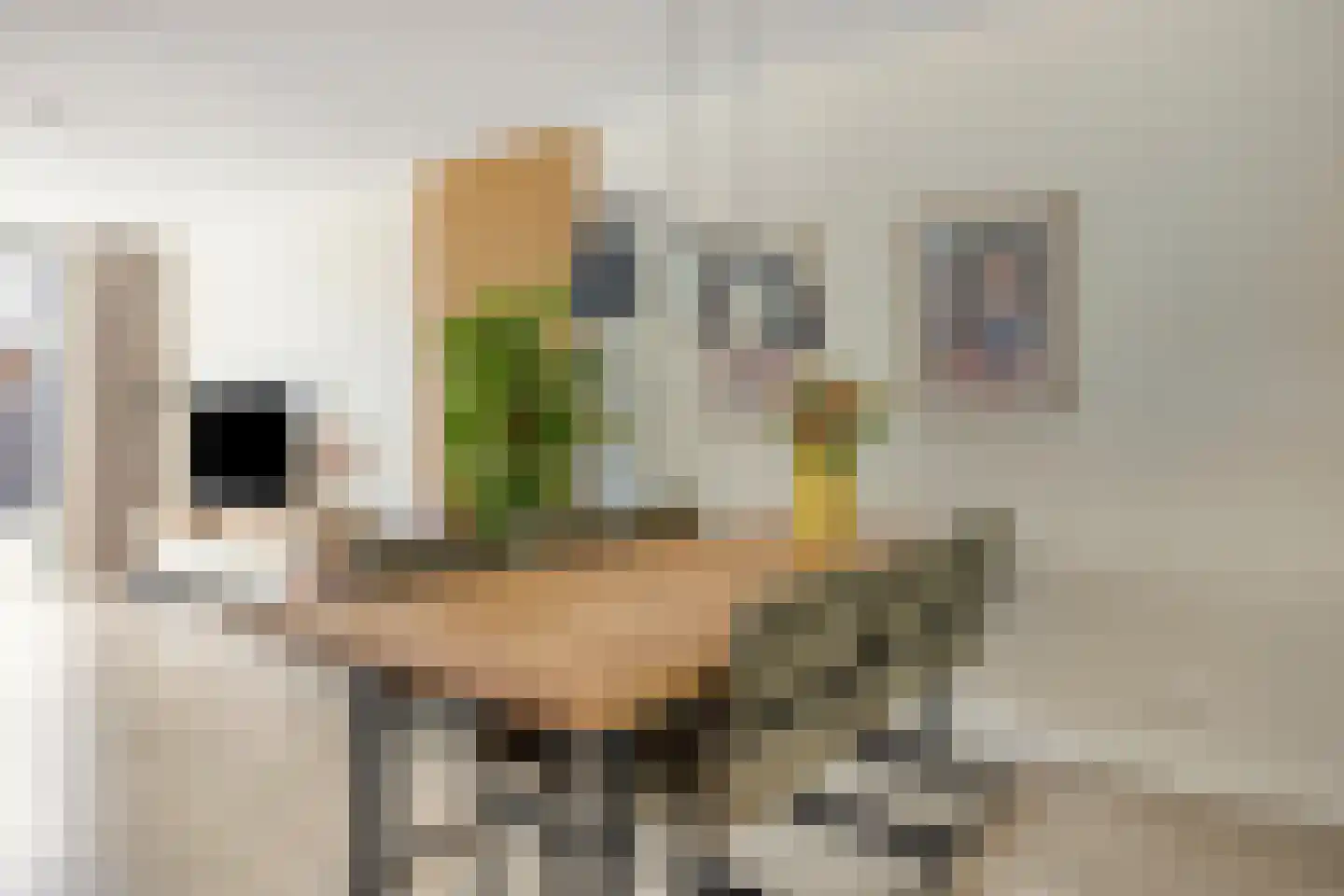 Willy den Oudenstraat 89 Tilburg thumbnail 16