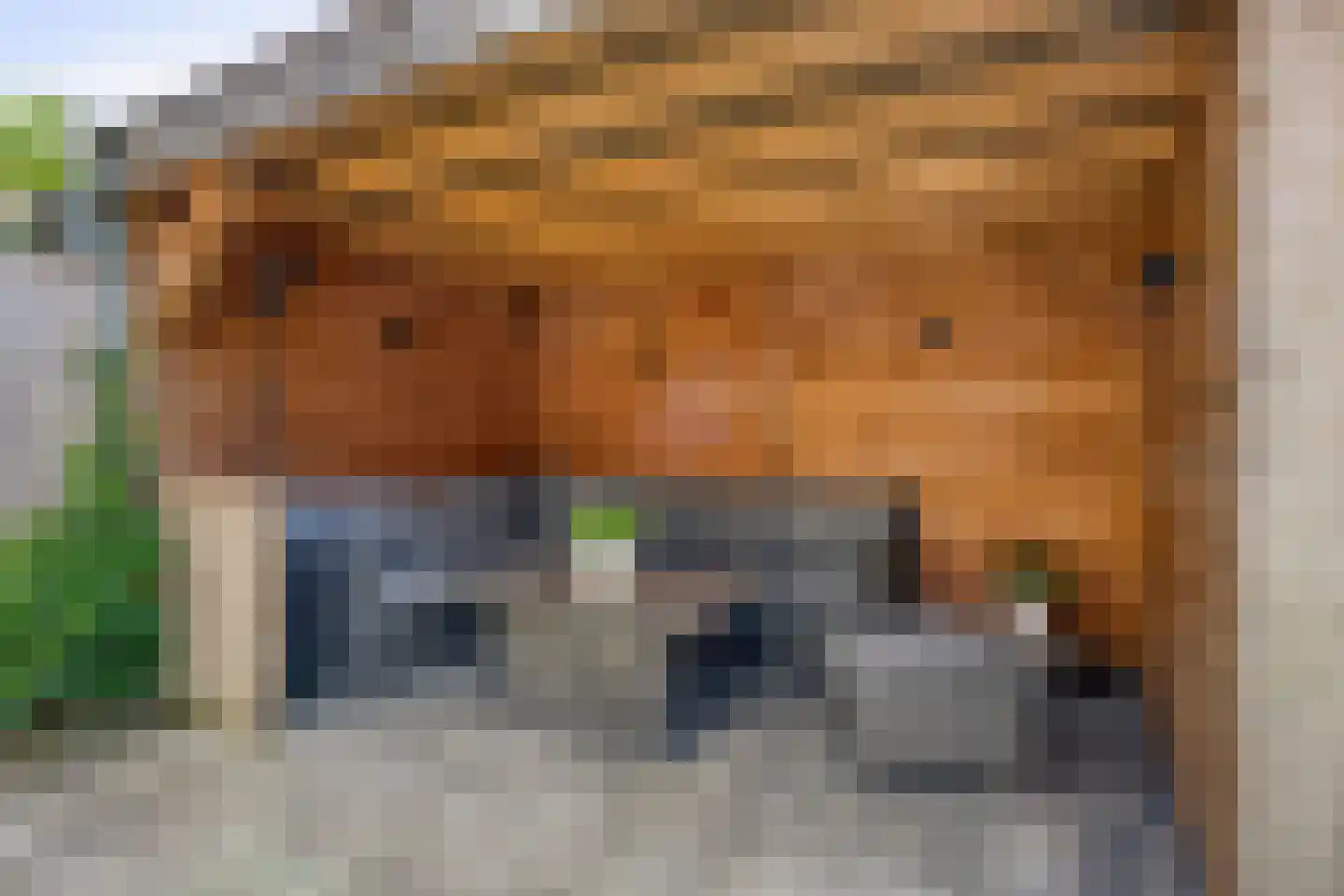 Willy den Oudenstraat 89 Tilburg thumbnail 22