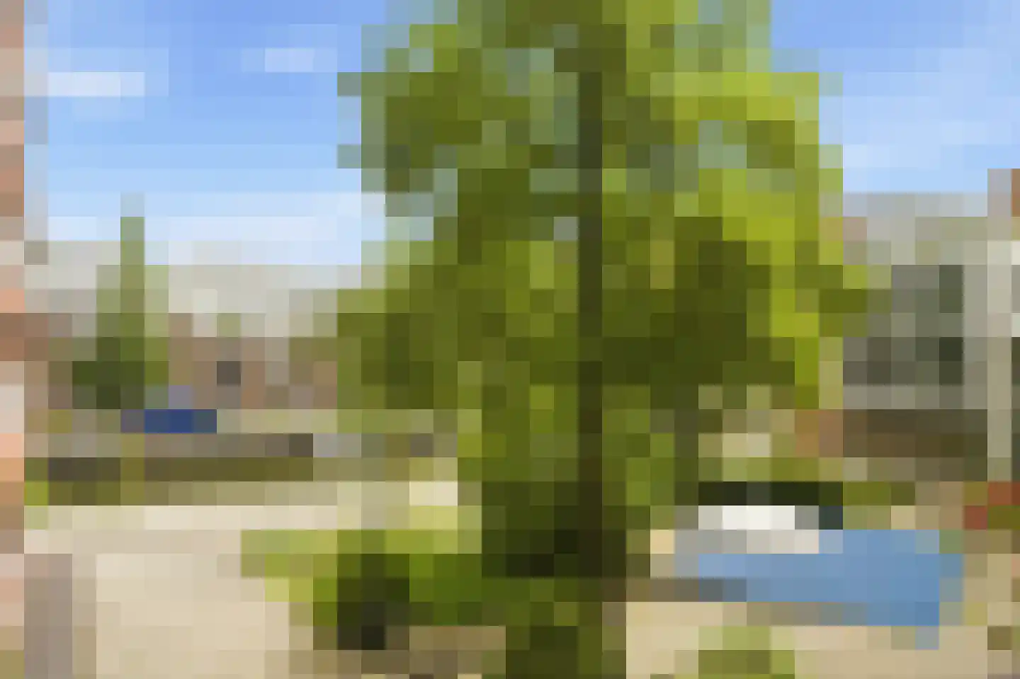Willy Mullenskade 29 Amsterdam thumbnail 19