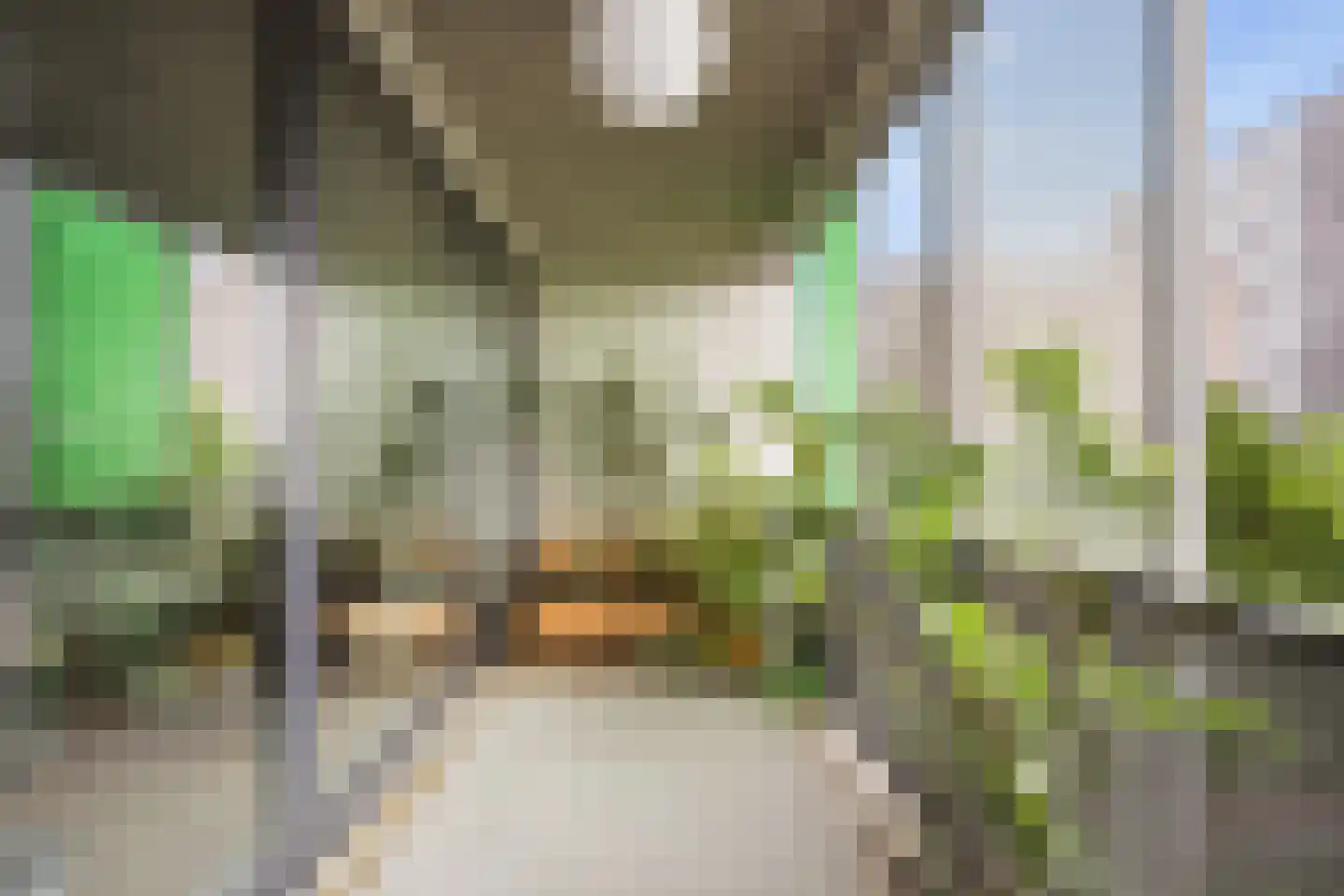 Willy Sluiterstraat 20 Amsterdam thumbnail 14