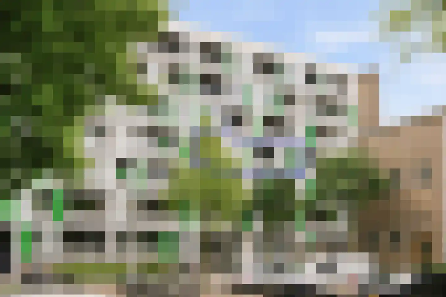 Willy Sluiterstraat 20 Amsterdam thumbnail 5