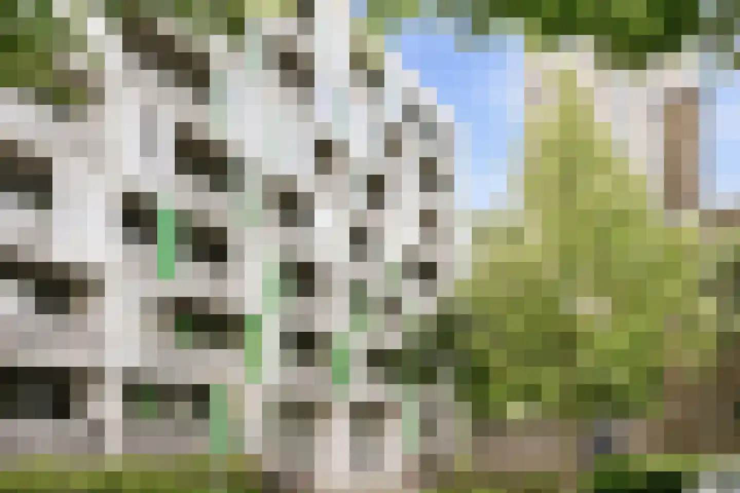 Willy Sluiterstraat 20 Amsterdam thumbnail 6