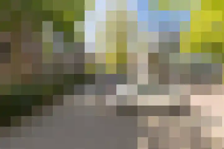 Willy Sluiterstraat 8 Amsterdam thumbnail 31
