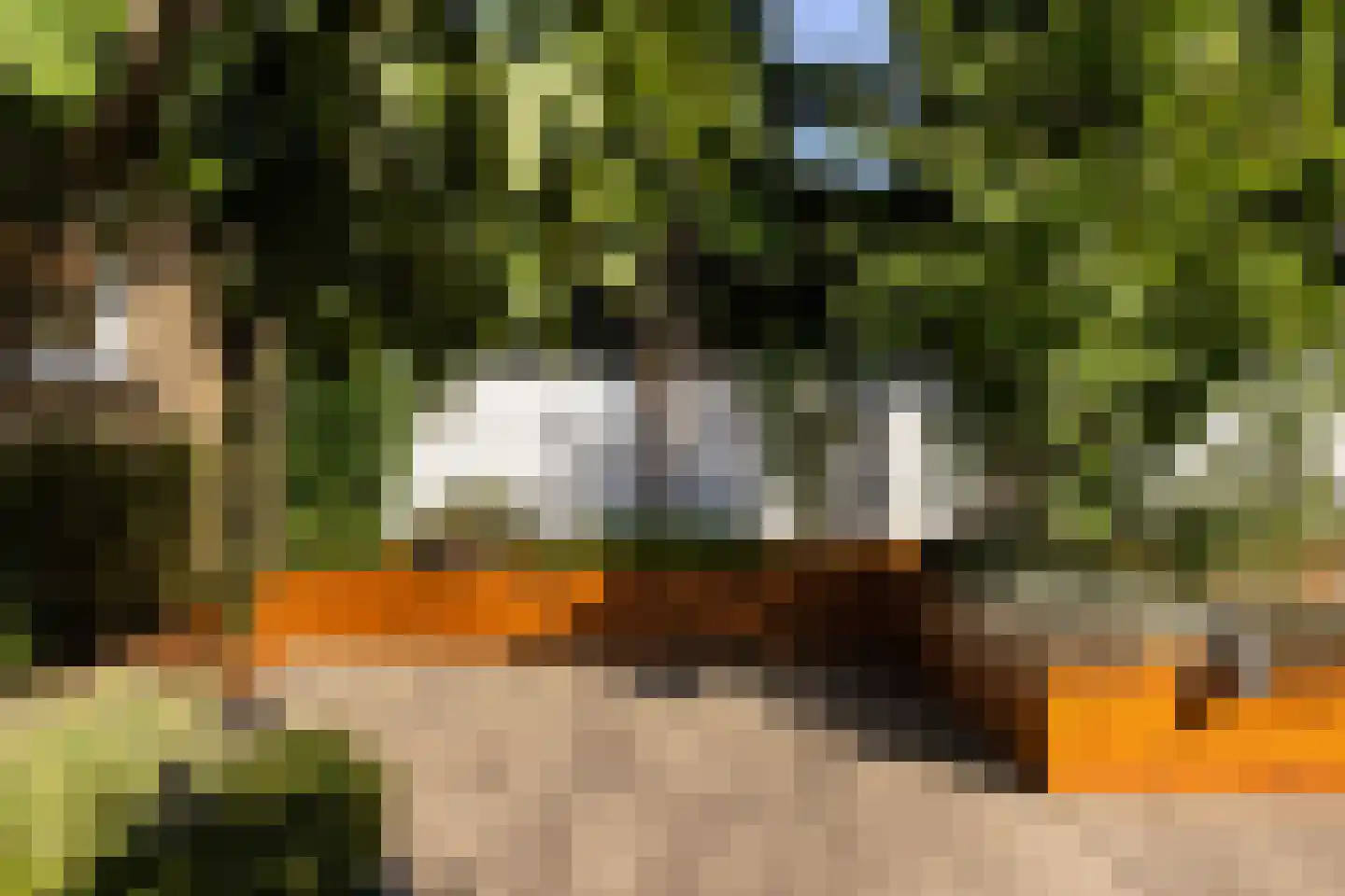 Willy Sluiterweg 3 Zwijndrecht thumbnail 47