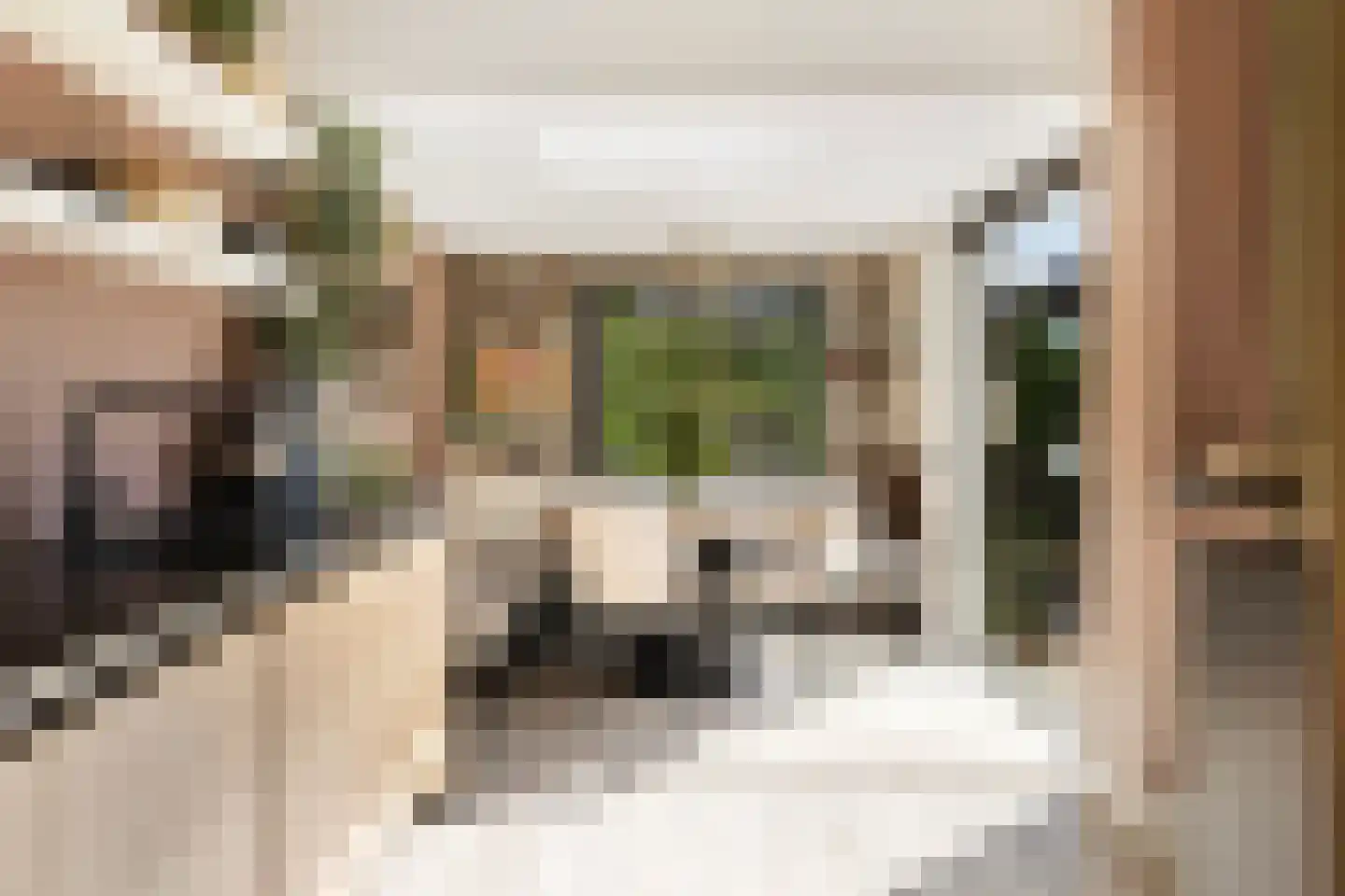 Willy Sluiterweg 3 Zwijndrecht thumbnail 6