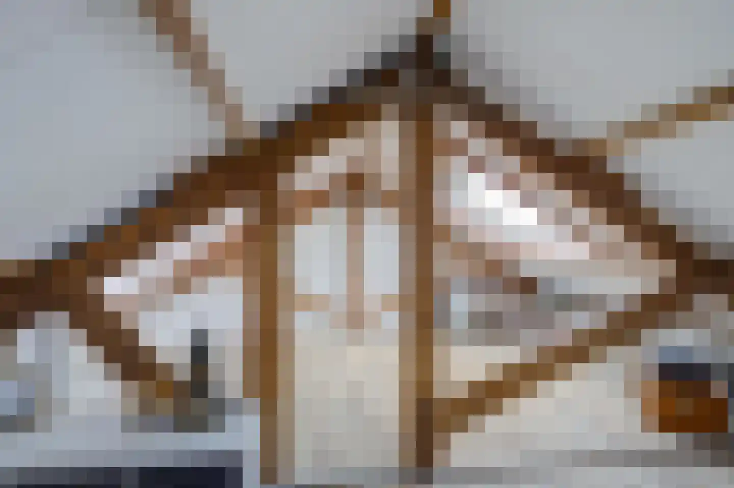 Willy Sluiterweg 6 Zwijndrecht thumbnail 35