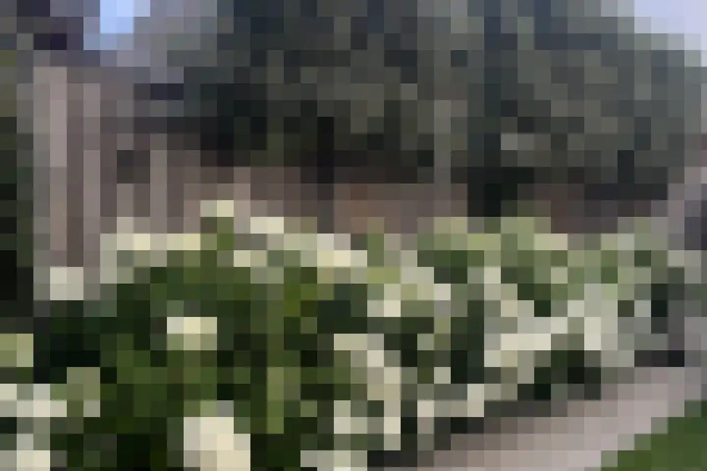Willy Sluiterweg 6 Zwijndrecht thumbnail 39