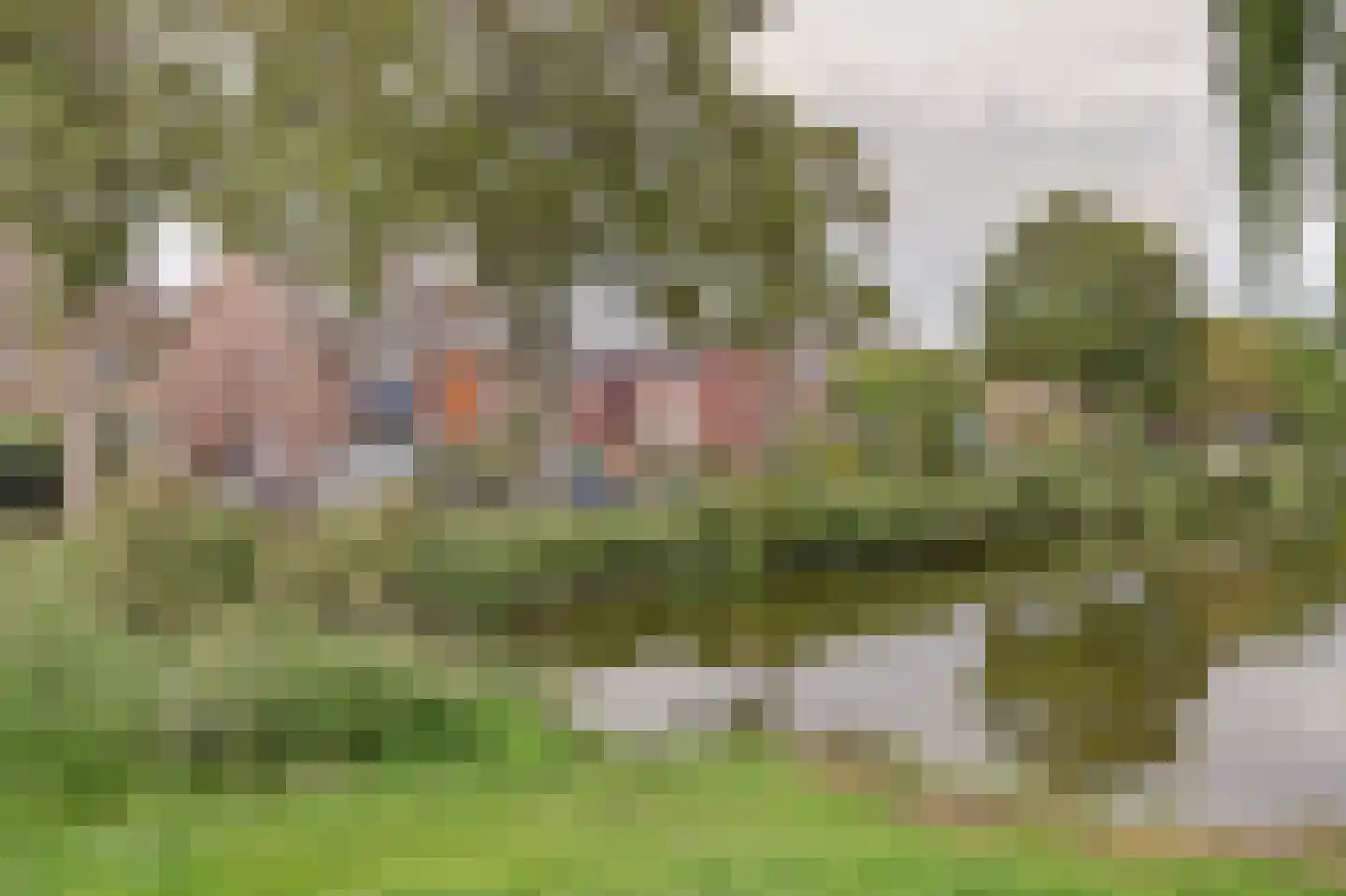 Willy Sluiterweg 6 Zwijndrecht thumbnail 55