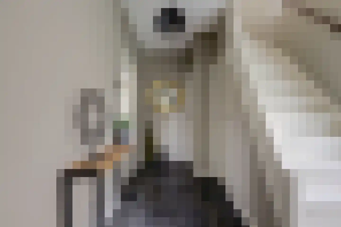Willy Sluiterweg 6 Zwijndrecht thumbnail 8