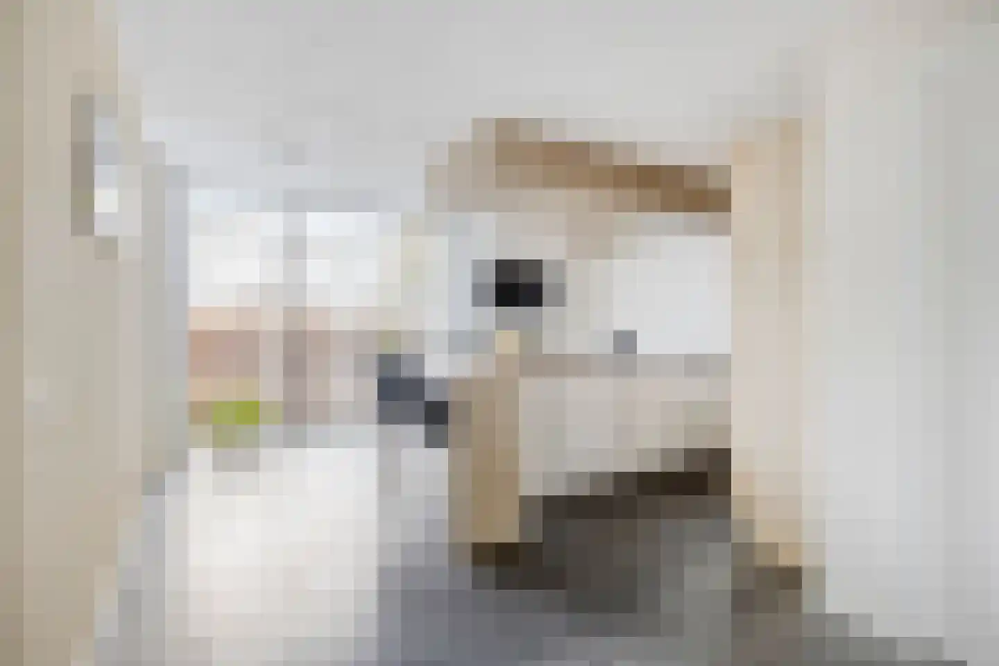 Willy van Breemenstraat 7 Oisterwijk thumbnail 11