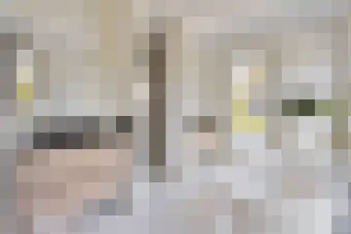 Willy van den Berkstraat 7 Haarsteeg thumbnail 29