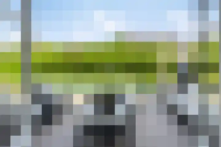 Willy van den Berkstraat 7 Haarsteeg thumbnail 34