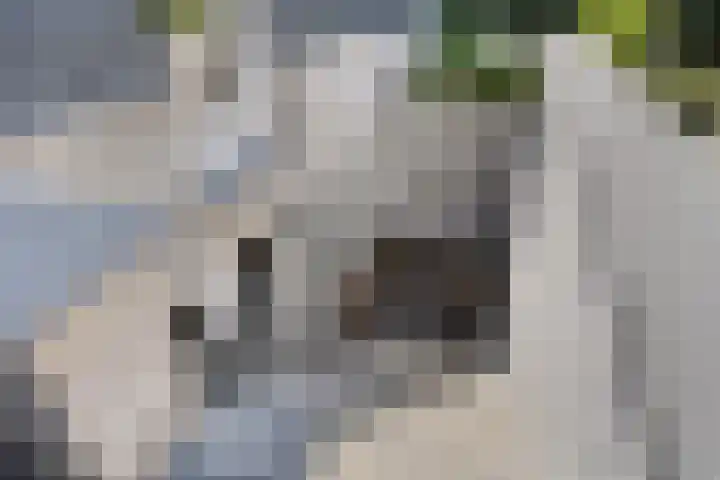 Willy van den Berkstraat 7 Haarsteeg thumbnail 35