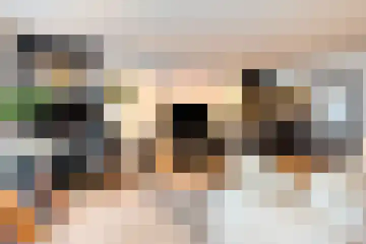 Willy van den Berkstraat 7 Haarsteeg thumbnail 36