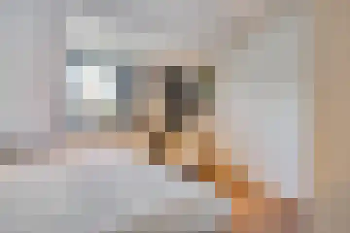 Willy van den Berkstraat 7 Haarsteeg thumbnail 46