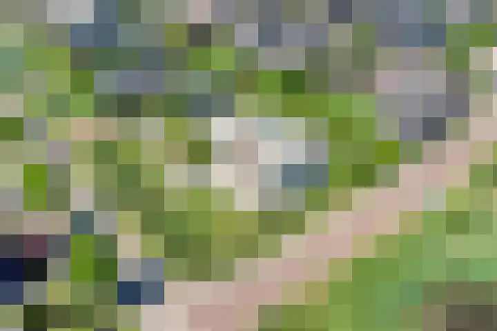 Willy van den Berkstraat 7 Haarsteeg thumbnail 5