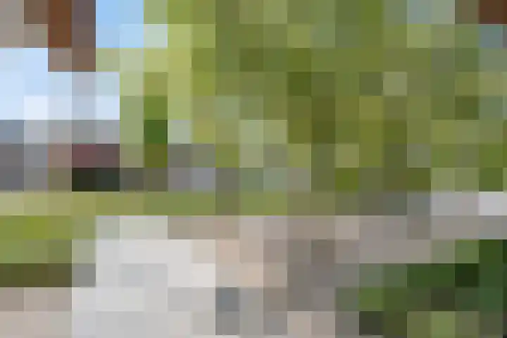 Willy van den Berkstraat 7 Haarsteeg thumbnail 85