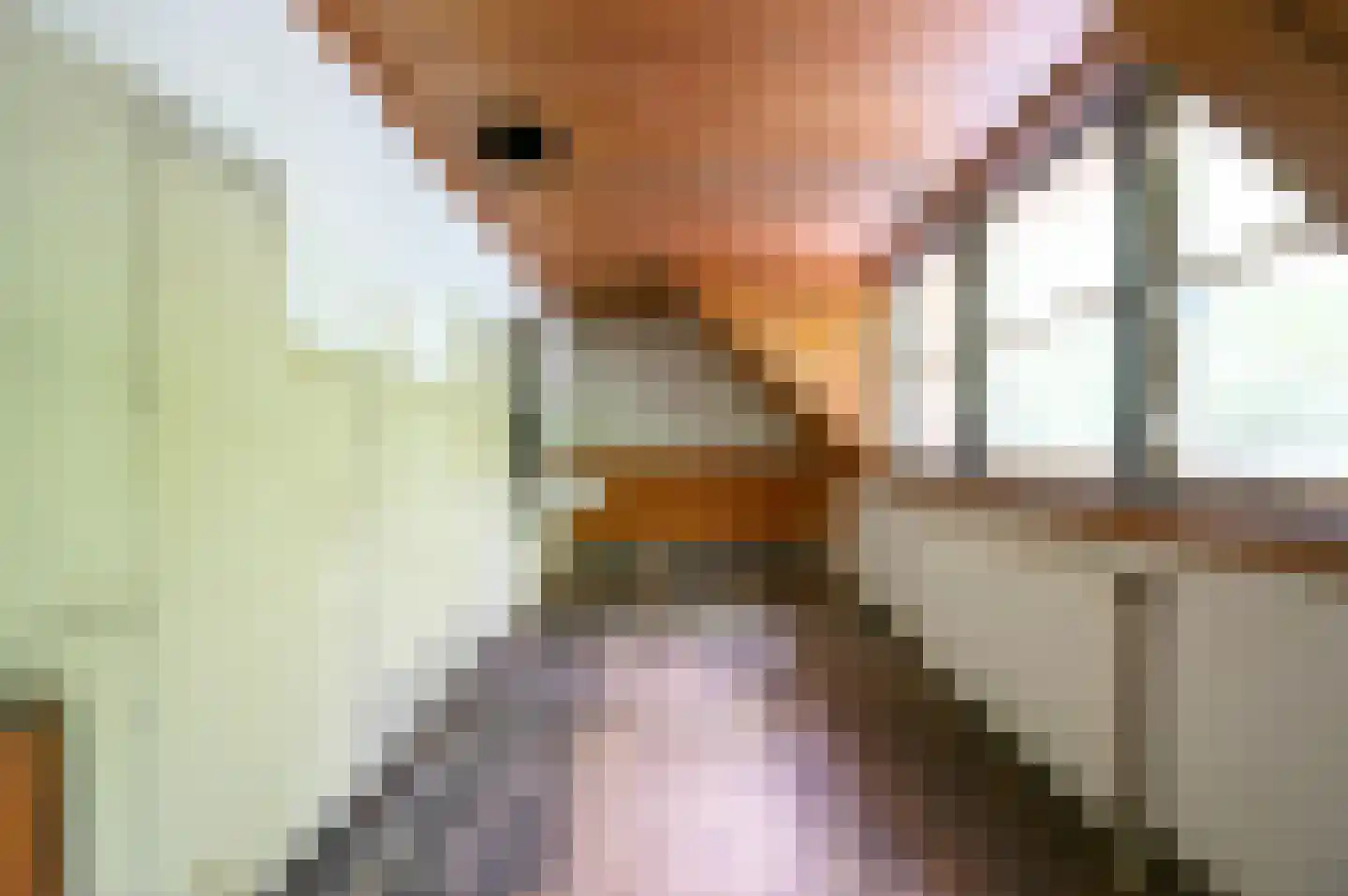 Wilmalaan 5 Lieren thumbnail 15