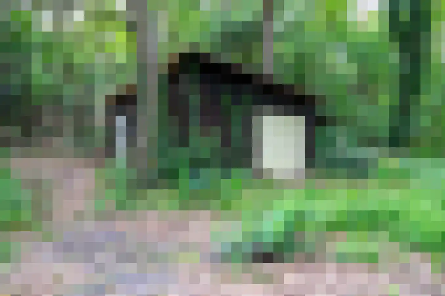 Wilmalaan 5 Lieren thumbnail 27