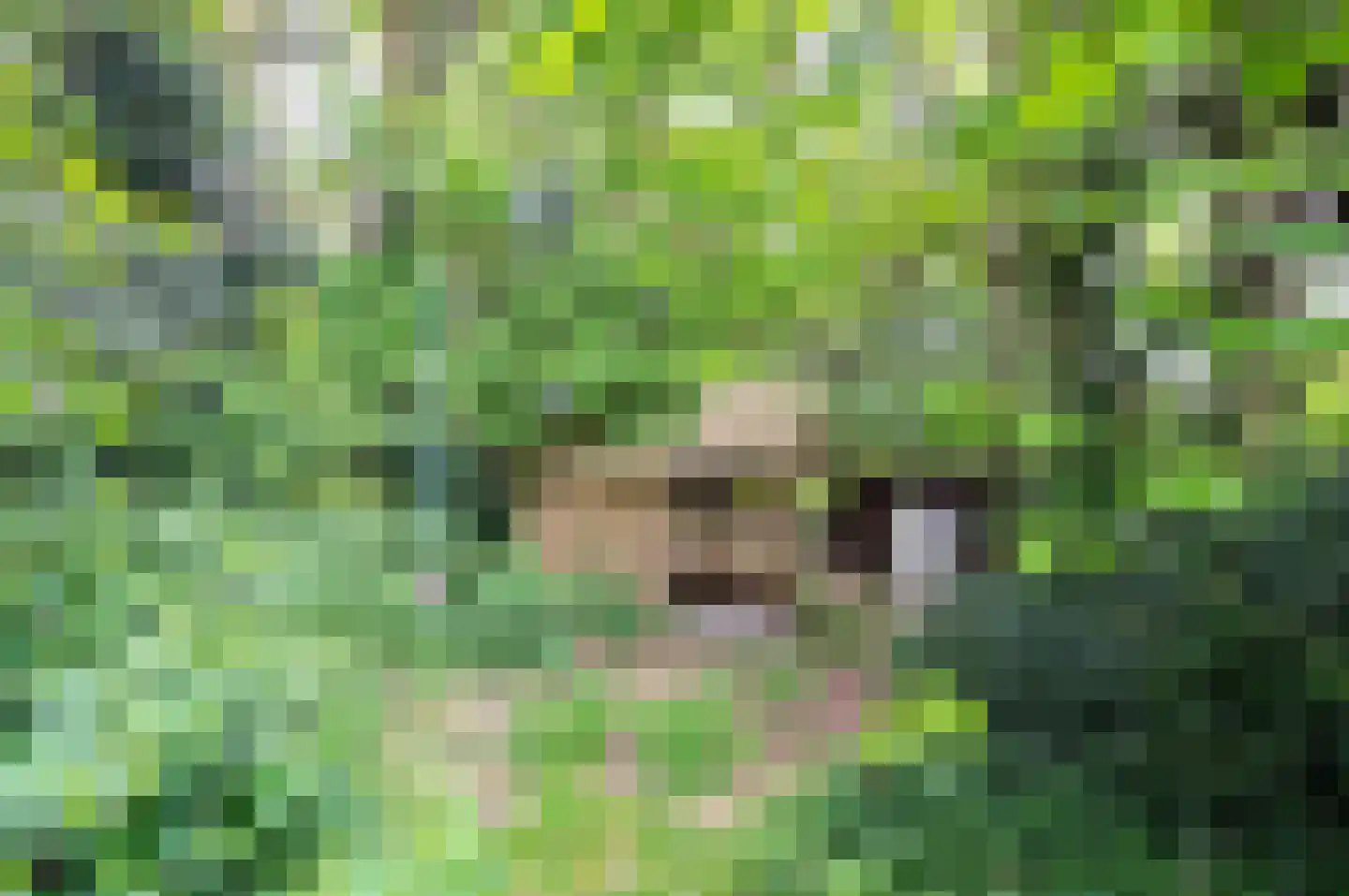 Wilmalaan 5 Lieren thumbnail 32