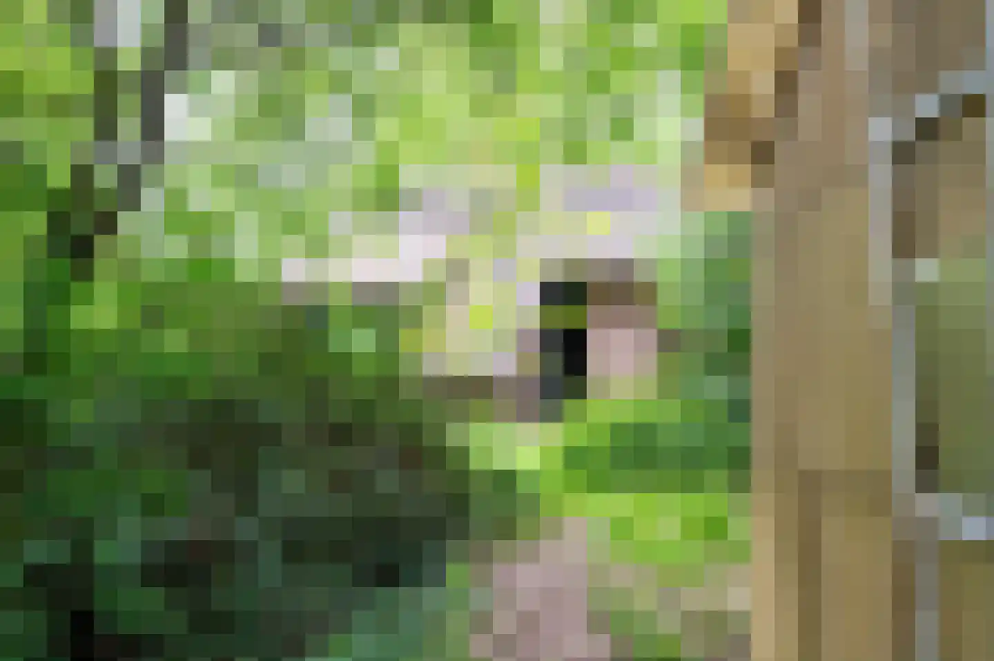 Wilmalaan 5 Lieren thumbnail 36