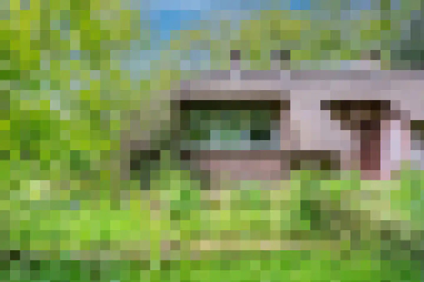 Wilmalaan 5 Lieren thumbnail 37
