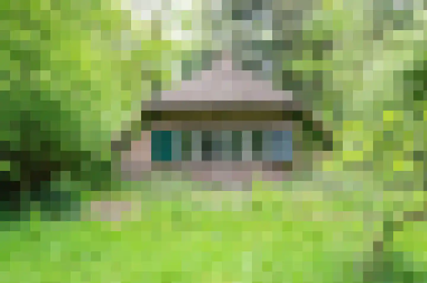 Wilmalaan 5 Lieren thumbnail 38