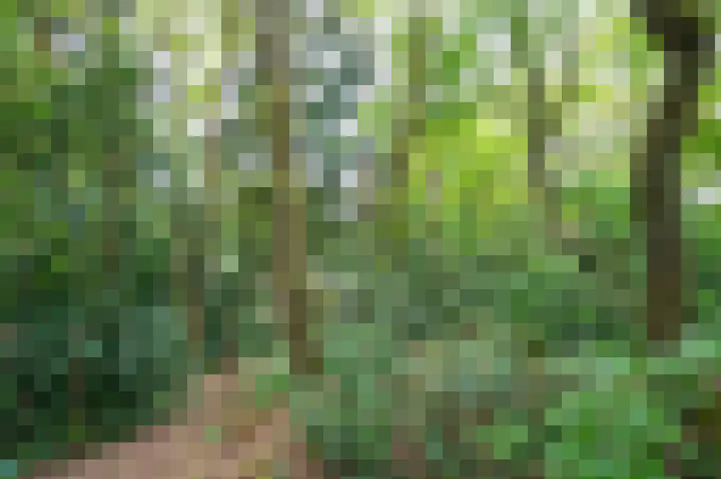 Wilmalaan 5 Lieren thumbnail 39