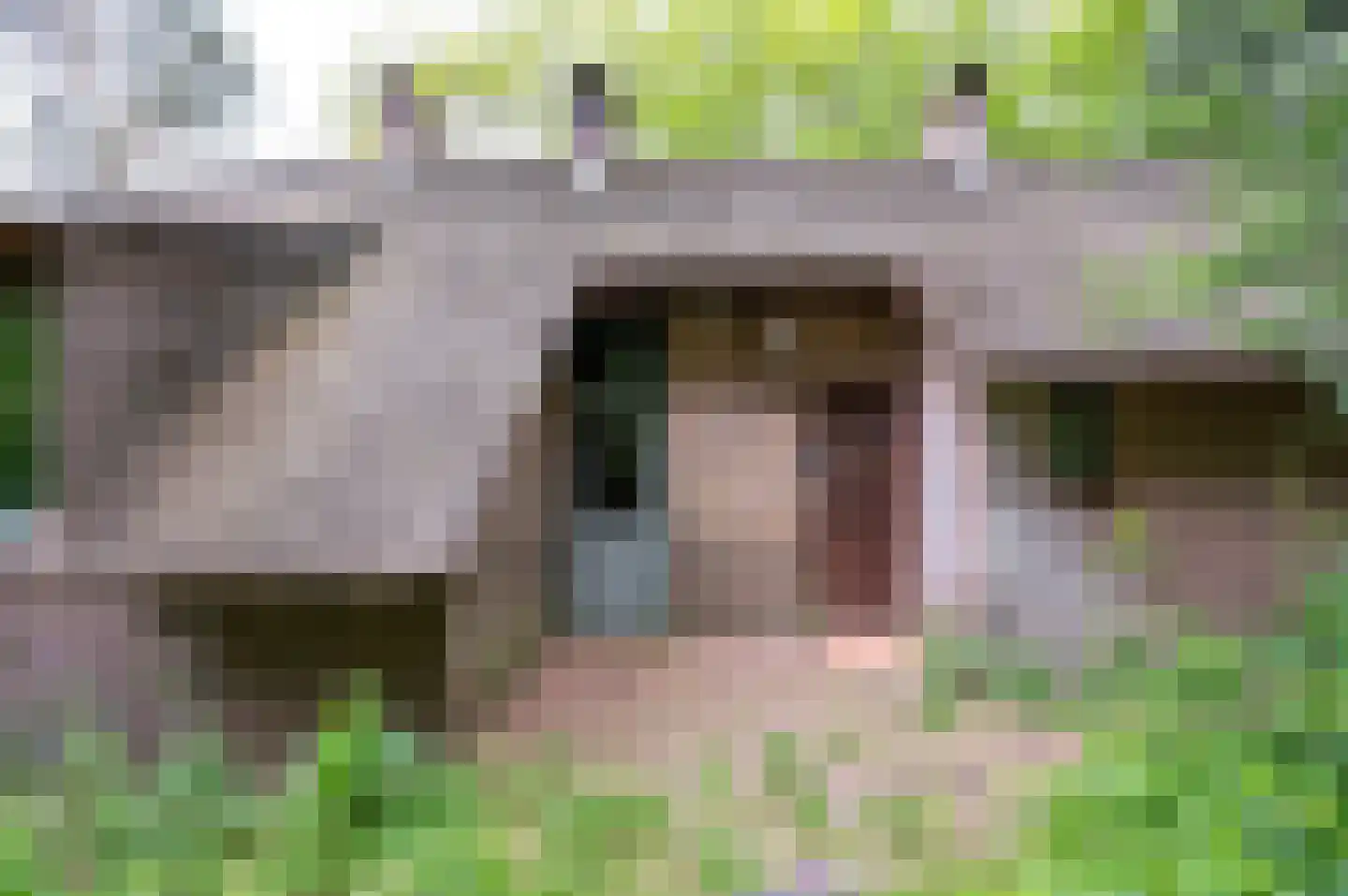 Wilmalaan 5 Lieren thumbnail 4
