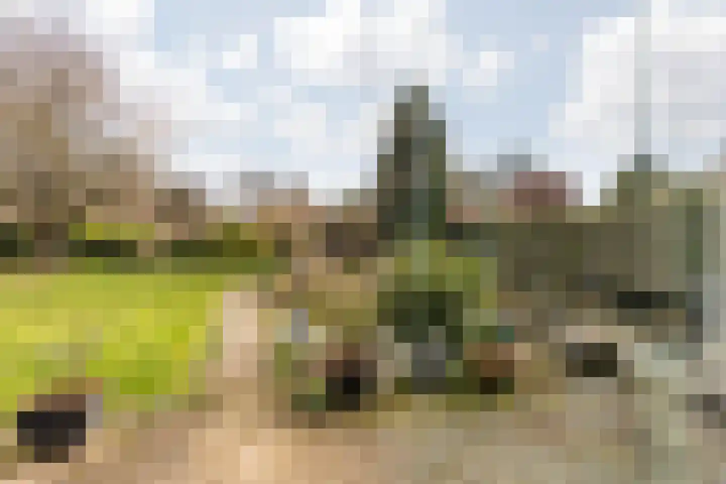 Wilmenweg 13 a Merkelbeek thumbnail 29