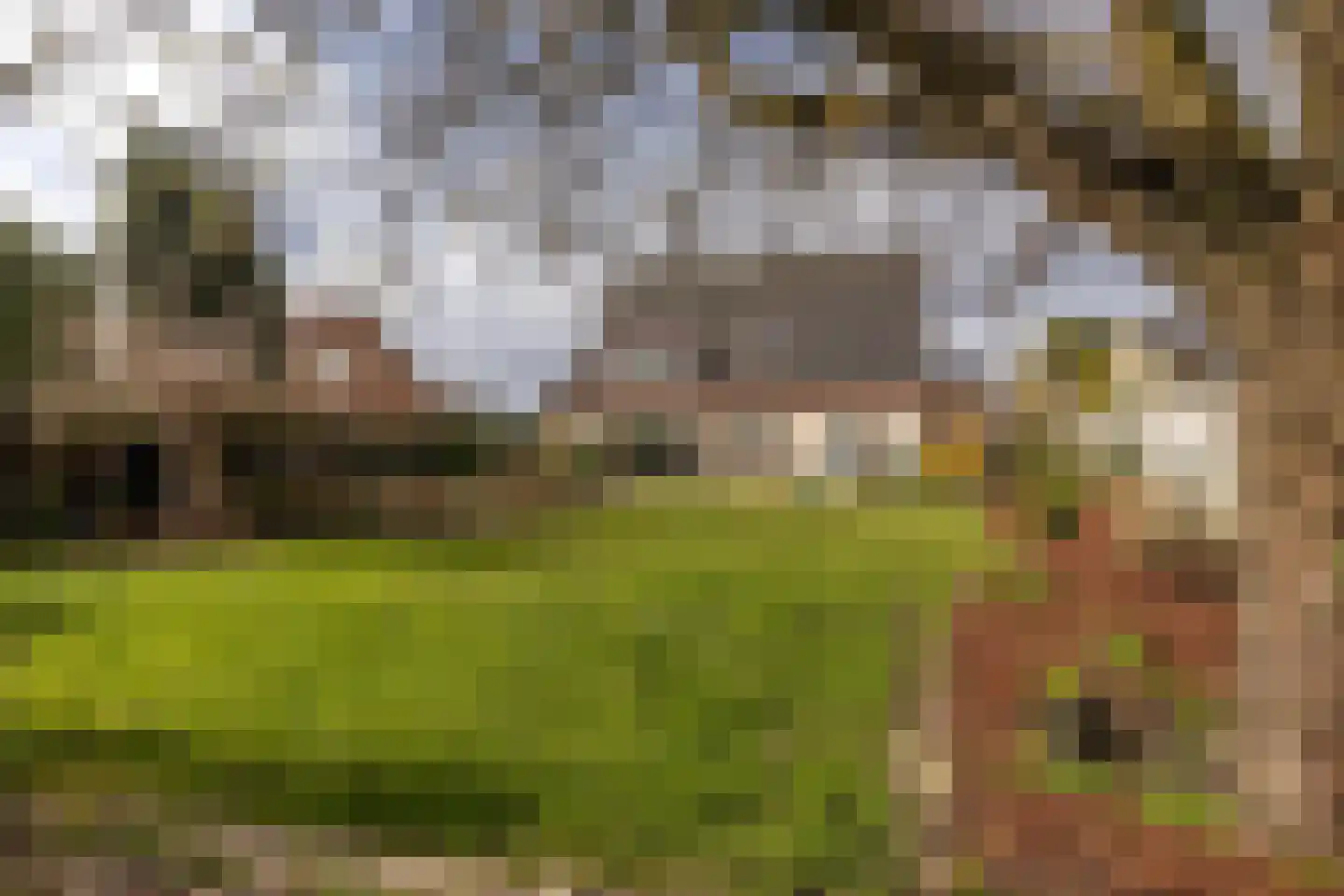 Wilmenweg 13 a Merkelbeek thumbnail 33